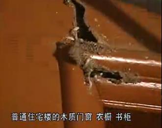 小区物业白蚁防治找谁负责=就找厦门城保白蚁防治站